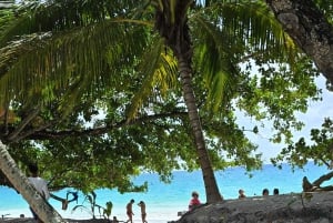 Praslin: Wycieczka jednodniowa Valle De Mai, Muzeum Cote D'or i Anse Lazio