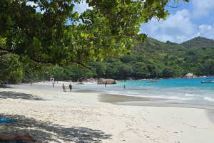 Praslin: Wycieczka jednodniowa Valle De Mai, Muzeum Cote D'or i Anse Lazio