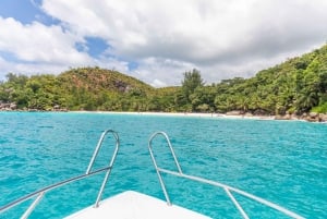 Кузен Курьез и Сен-Пьер и барбекю на обед