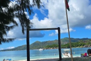 Кузен Курьез и Сен-Пьер и барбекю на обед