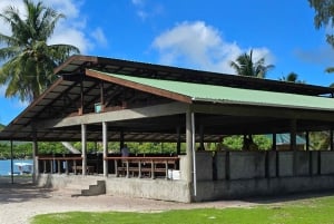 Кузен Курьез и Сен-Пьер и барбекю на обед