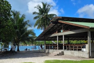 Кузен Курьез и Сен-Пьер и барбекю на обед