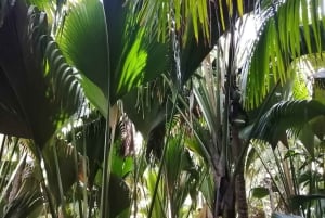 Praslin: upptäck ön med en lokal guide