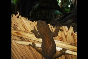 Praslin: upptäck ön med en lokal guide