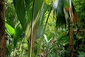 Praslin Excursión privada de día completo