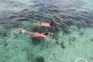 Praslin: La Digue, Cocos, and Felicity Islands Private Trip