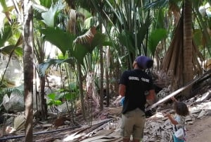Praslin: privat tur til Vallée de Mai med en lokal guide