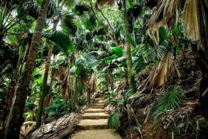 Praslin : Excursión (Compartida)