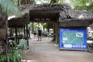 Praslin: Excursão de dia inteiro ao Vallée de Mai e à praia de Anse Lazio