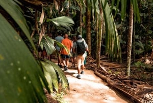 Praslin: Vallee de Mai Guidet vandretur med transfer