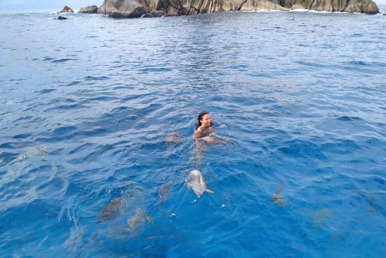 プライベートチャーター：キュリオース島、セントピエール島、シスター島、ココ島、フェリシティ島。