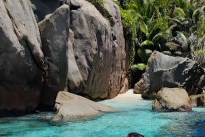 プライベートチャーター：キュリオース島、セントピエール島、シスター島、ココ島、フェリシティ島。