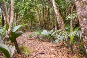 Private nature trail/hiking (5-7 Persons)