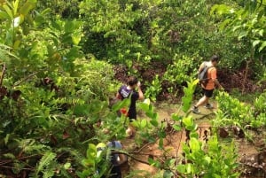 Private nature trail/hiking (8-10 Persons)