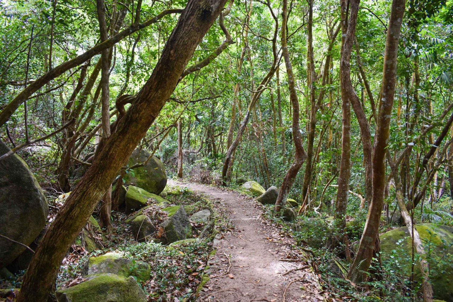 Private nature trail/hiking