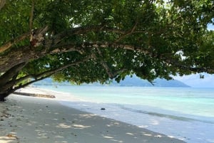 Seychellerna: 4-dagars tur med naturstig och öluffning