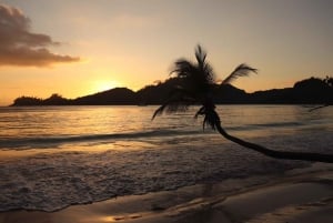Seychellit: 5-rantaseikkailukierros