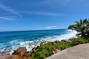 Seychelles: Best of Mahe Private Tour