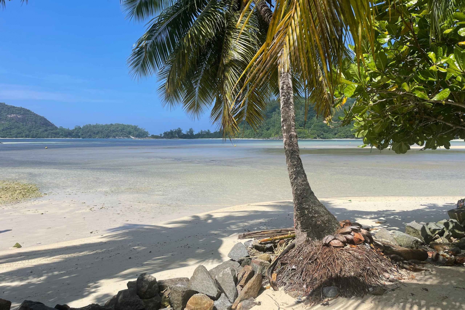 Seychelles: Excursão de 1 dia particular em Mahe (1 a 5 pessoas)