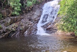 Seychelles: Highlights Tour of the Islands iconic spots