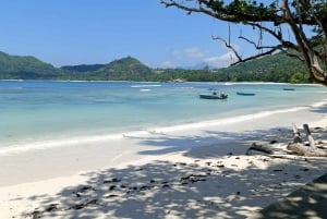 Isla de Seychelles: Tour de aventura por Mahé