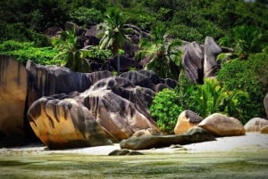 Seychellerne: Mahe-rundtur