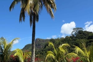 Seychelles: Mahe Island Private Tour with Guide