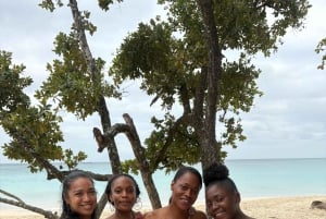 Seychelles: Mahe Island Private Tour with Guide