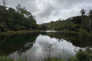 Seychelles: Mahe Island Private Tour with Guide