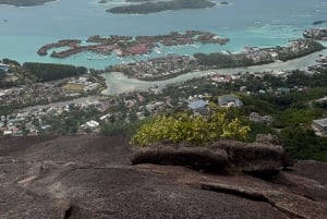 Seychelles: Mahe Island Private Tour with Guide