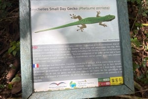 Seychelles: Mahe Island Private Tour with Guide