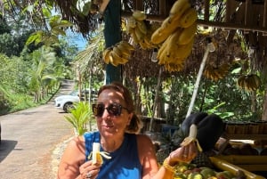 Seychelles: Mahe Island Private Tour with Guide