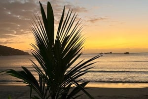 Seychelles: Mahe Island Private Tour with Guide