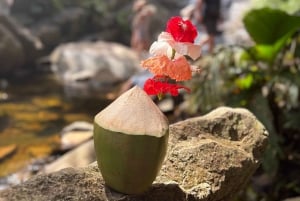 Seychelles: Mahe Island Private Tour with Guide