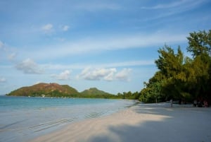 Seychellerna: Praslin Island och La Digue Island Day Tour