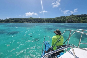 Seychelles: Reef Snorkeling Safari at Saint-Anne Marine Park