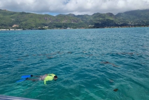 Seychelles: Reef Snorkeling Safari at Saint-Anne Marine Park