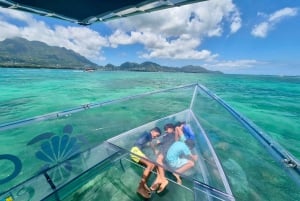 エデン島：サント・アンヌ海洋公園のクリアボートツアーをお楽しみください