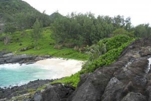 Seychelles: Excursión de un día completo a la Isla de la Silueta con almuerzo
