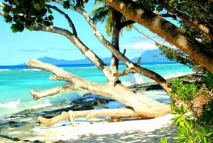 Seszele: Wyspa Silhouette pełna = jednodniowa wycieczka z lunchem