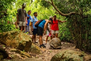 Seychellerne: St Pierre og Curieuse Katamaran-tur med frokost