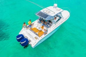 Esnórquel en el Parque Marino de St-Pierre y Anse Petite Cour