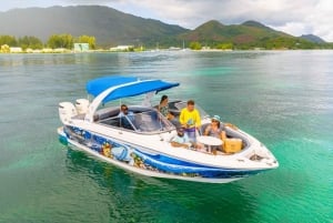 Esnórquel en el Parque Marino de St-Pierre y Anse Petite Cour