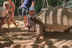 Glassbottom boat StAnne Marine National Park Snorkeling