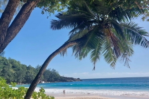 Besøk Mahe Seychellene på din måte. Victoria nasjonalpark strand