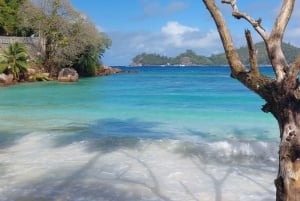 Kierrä Mahe Seychellit omalla tavallasi. Victorian kansallispuiston ranta