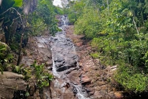 Tour ed escursioni per coppie, viaggiatori solitari o famiglie