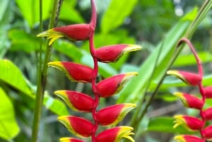 Tour ed escursioni per coppie, viaggiatori solitari o famiglie