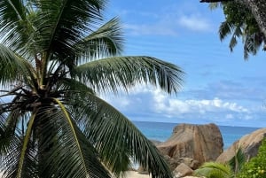 Tropisk strandopplevelsestur