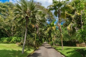 Unforgettable Full Day Mahe Island Tour